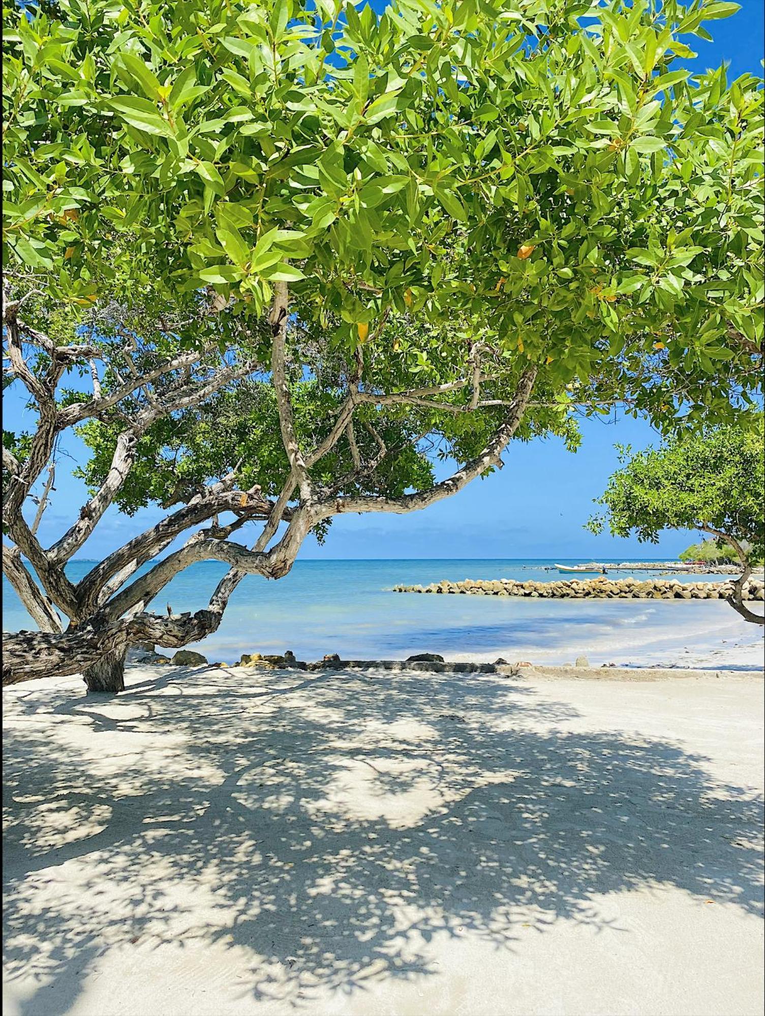 Carey Beach Isla Barú מראה חיצוני תמונה