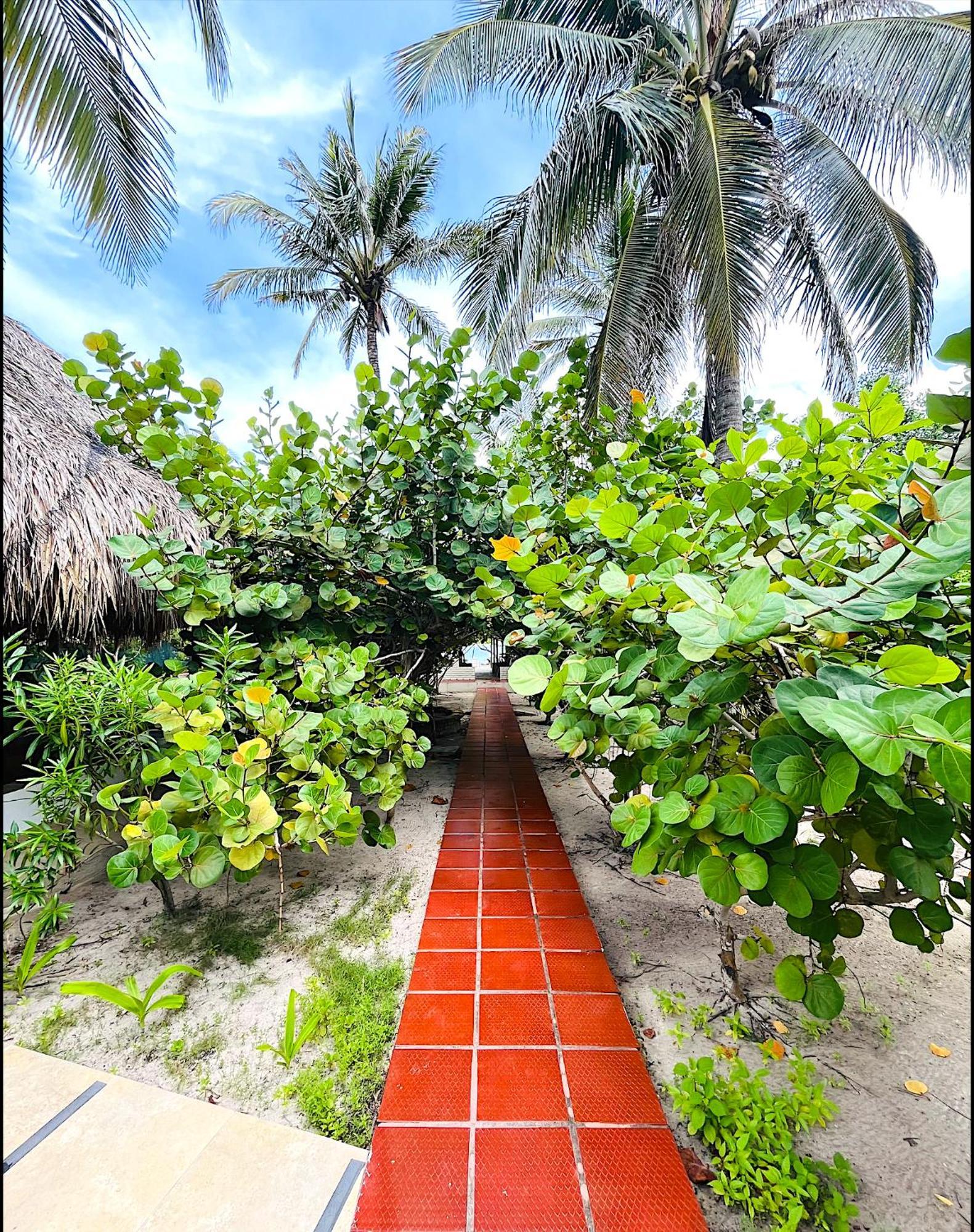 Carey Beach Isla Barú מראה חיצוני תמונה