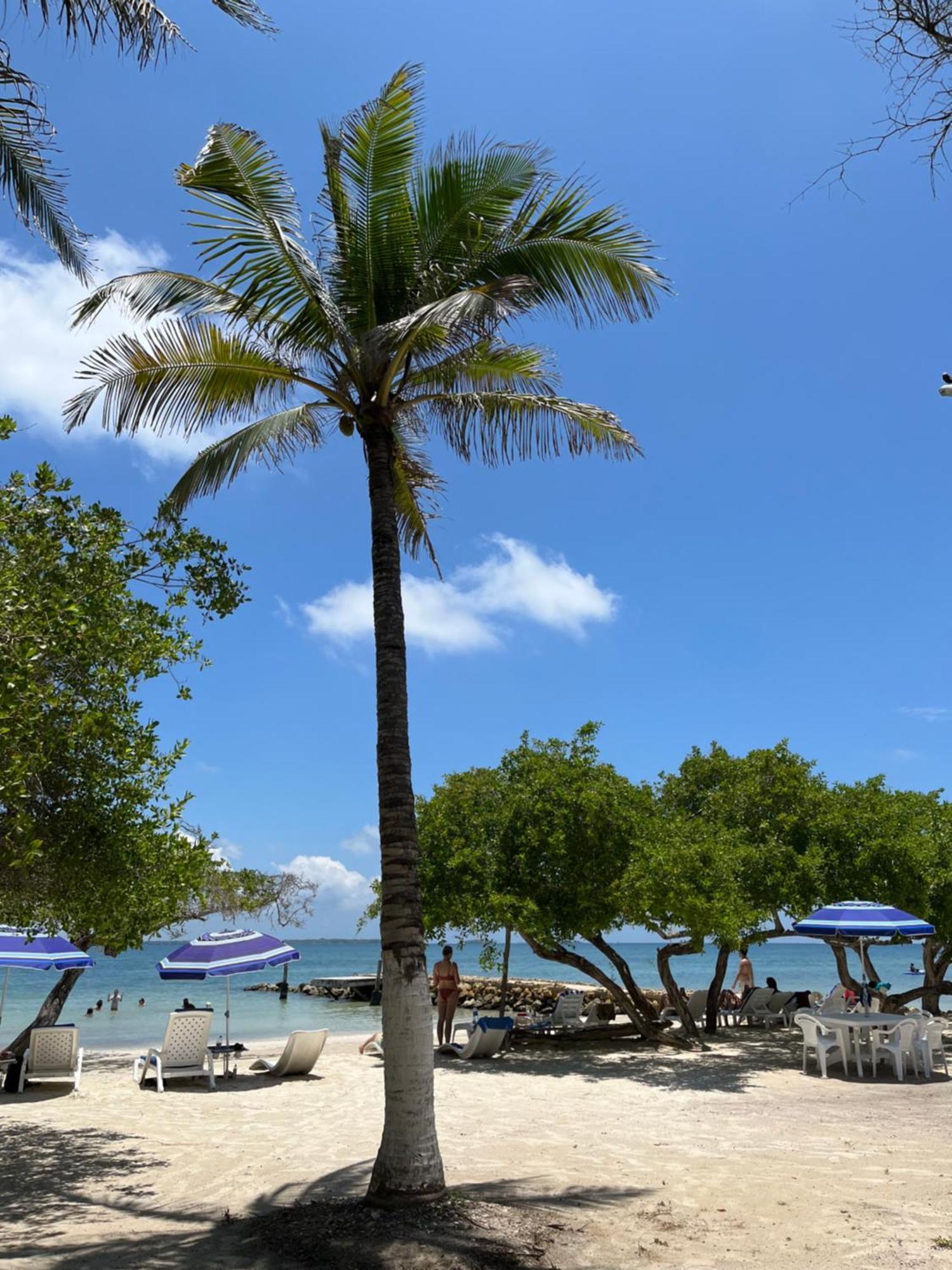Carey Beach Isla Barú מראה חיצוני תמונה
